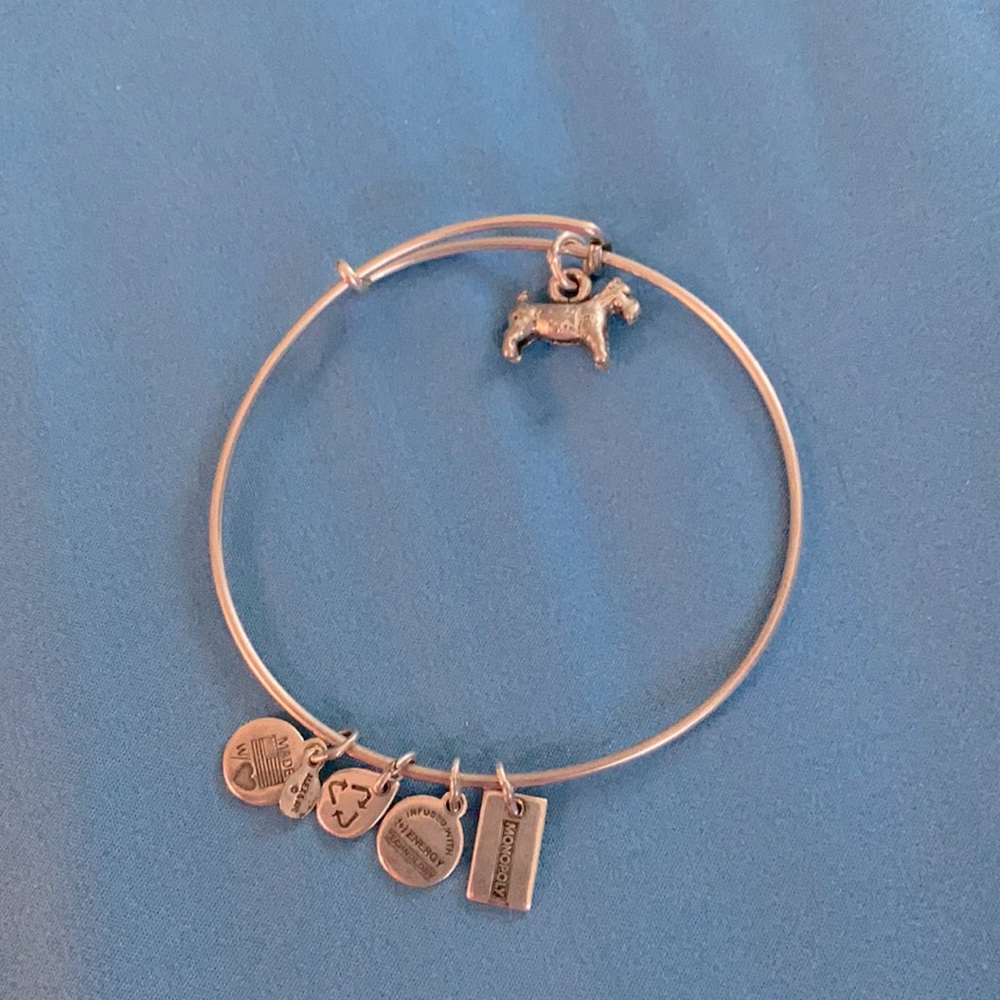 Alex and Ani monopoly dog bracelet